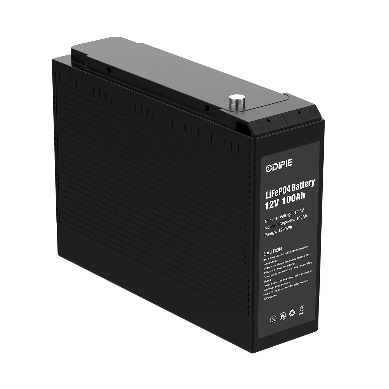 Maintenance Free 12v 100ah Lifepo4 Deep Cycle Battery For RV/Motorhome